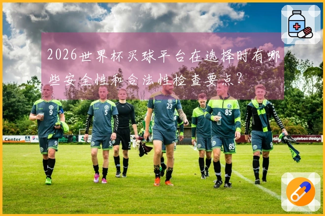 2026世界杯买球平台在选择时有哪些安全性和合法性检查要点？