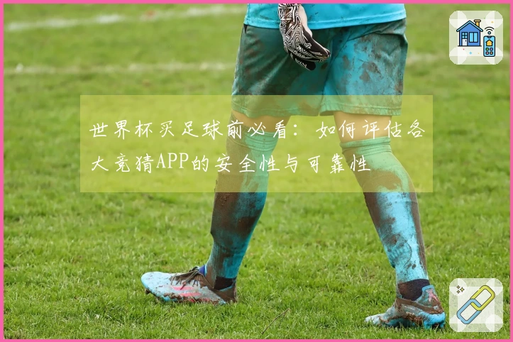世界杯买足球前必看：如何评估各大竞猜APP的安全性与可靠性