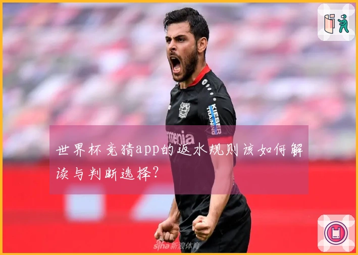 世界杯竞猜app的返水规则该如何解读与判断选择？