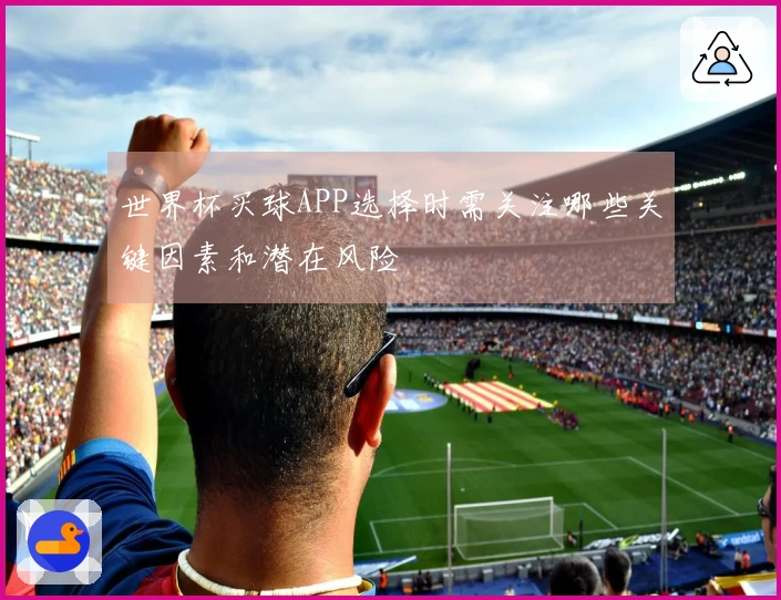 世界杯买球APP选择时需关注哪些关键因素和潜在风险
